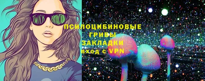 Галлюциногенные грибы Psilocybine cubensis  купить  сайты  Казань 